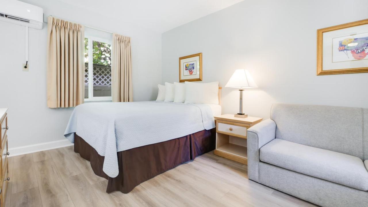 Queen Studio with Sofa Bed,1302915178:JPEG