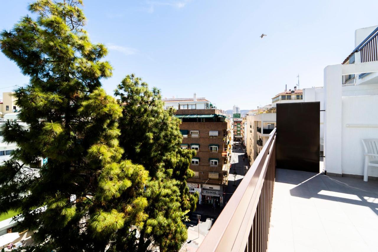 Single Room with Terrace