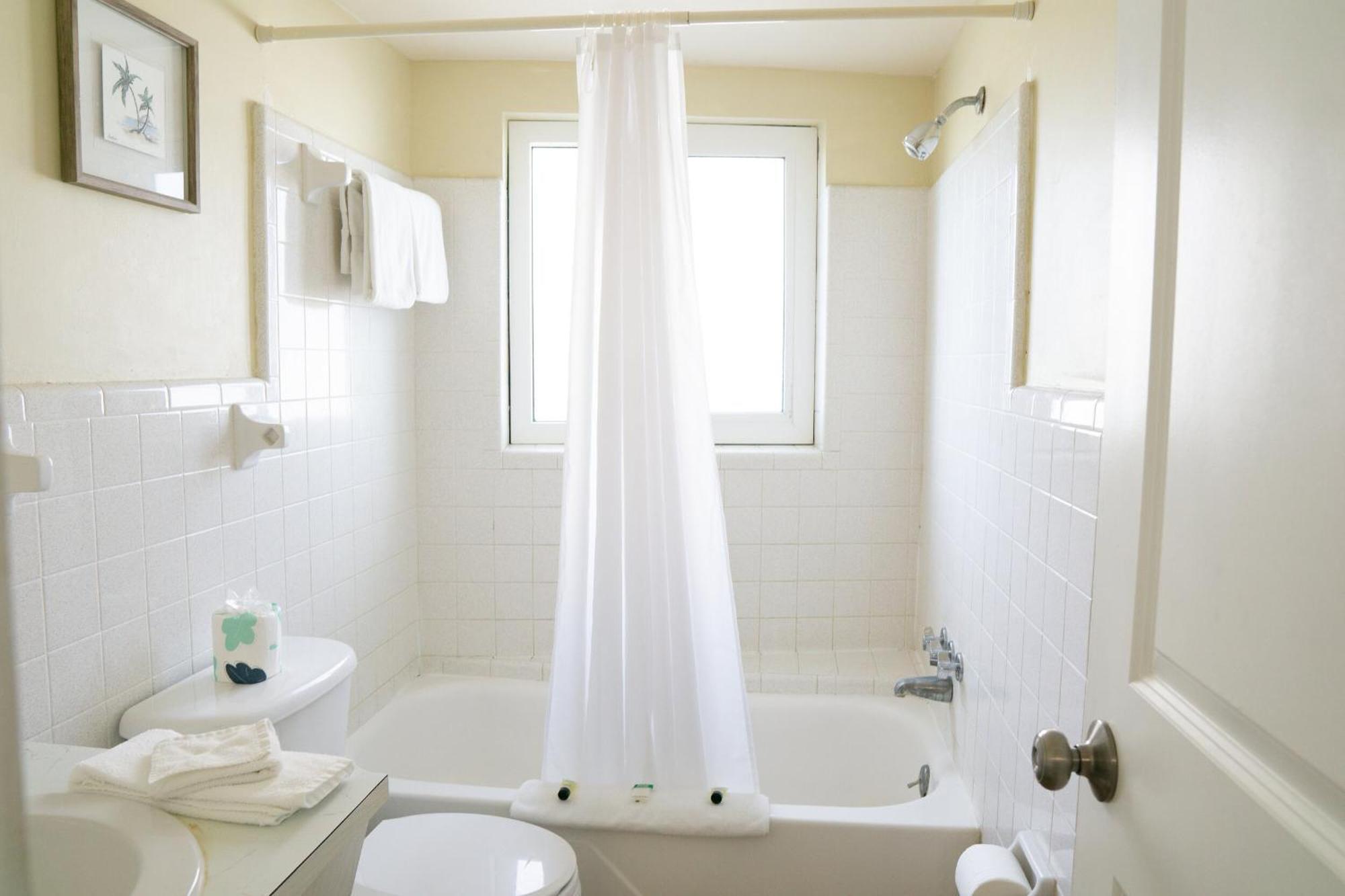 Basic Double Room