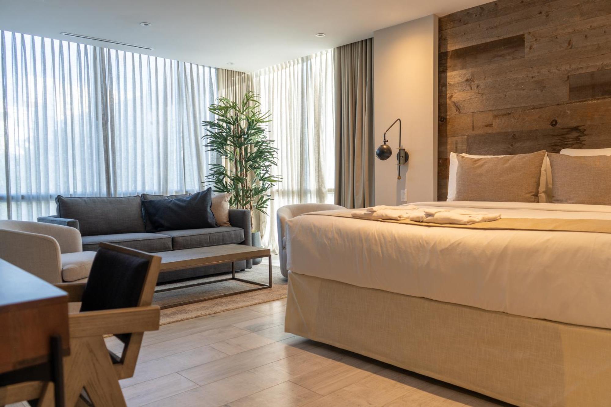 Deluxe King Suite