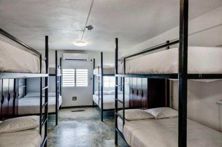 Bed 8-Bed Female Dormitory