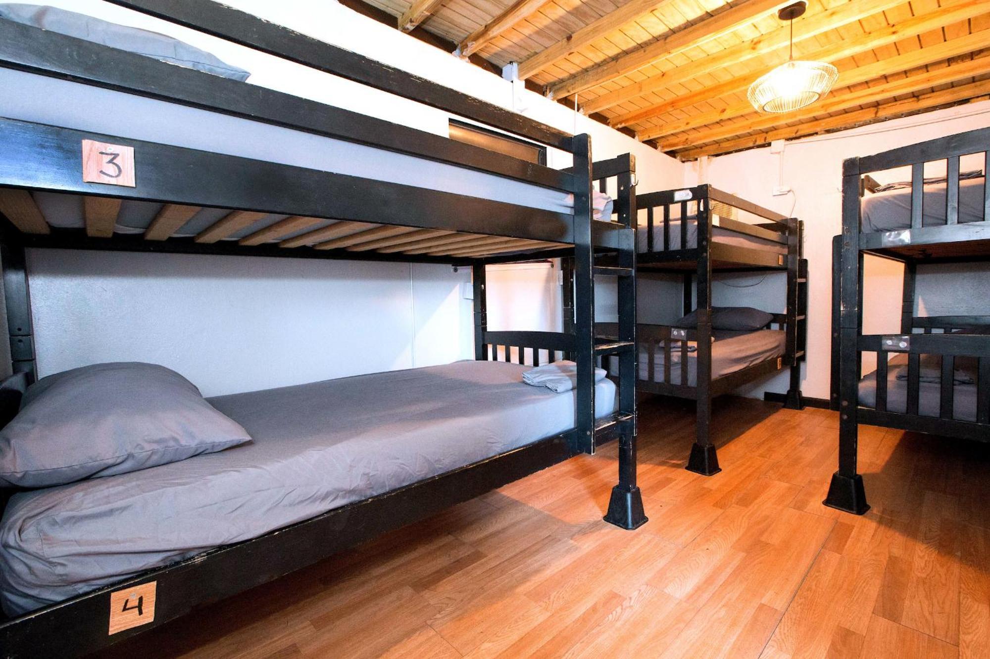 Bed 10-Bed Dormitory Room