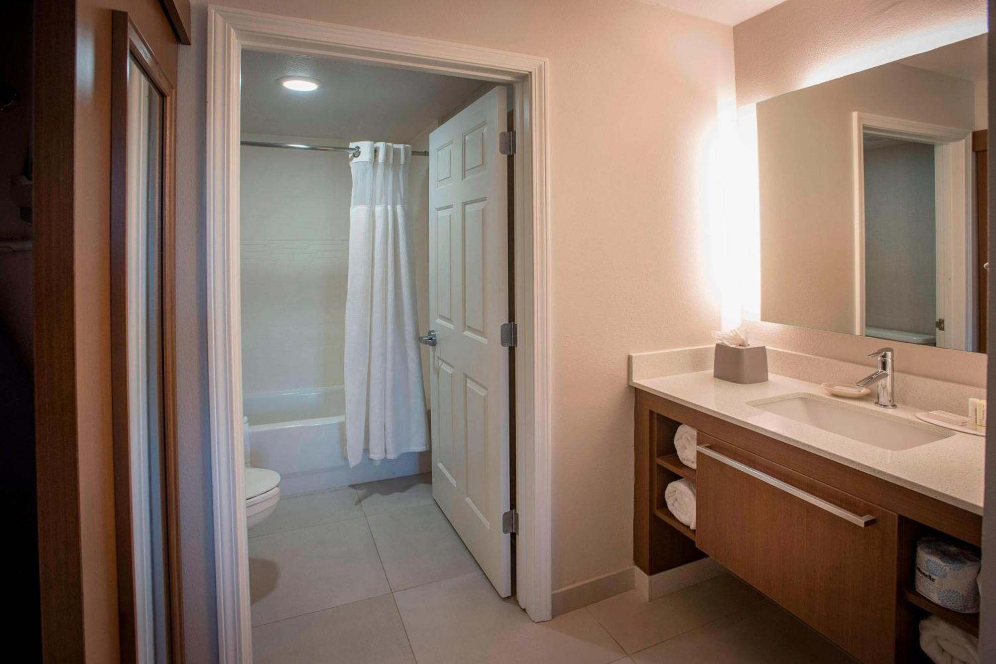 One-Bedroom Queen Suite with Sofa Bed and Downtown View