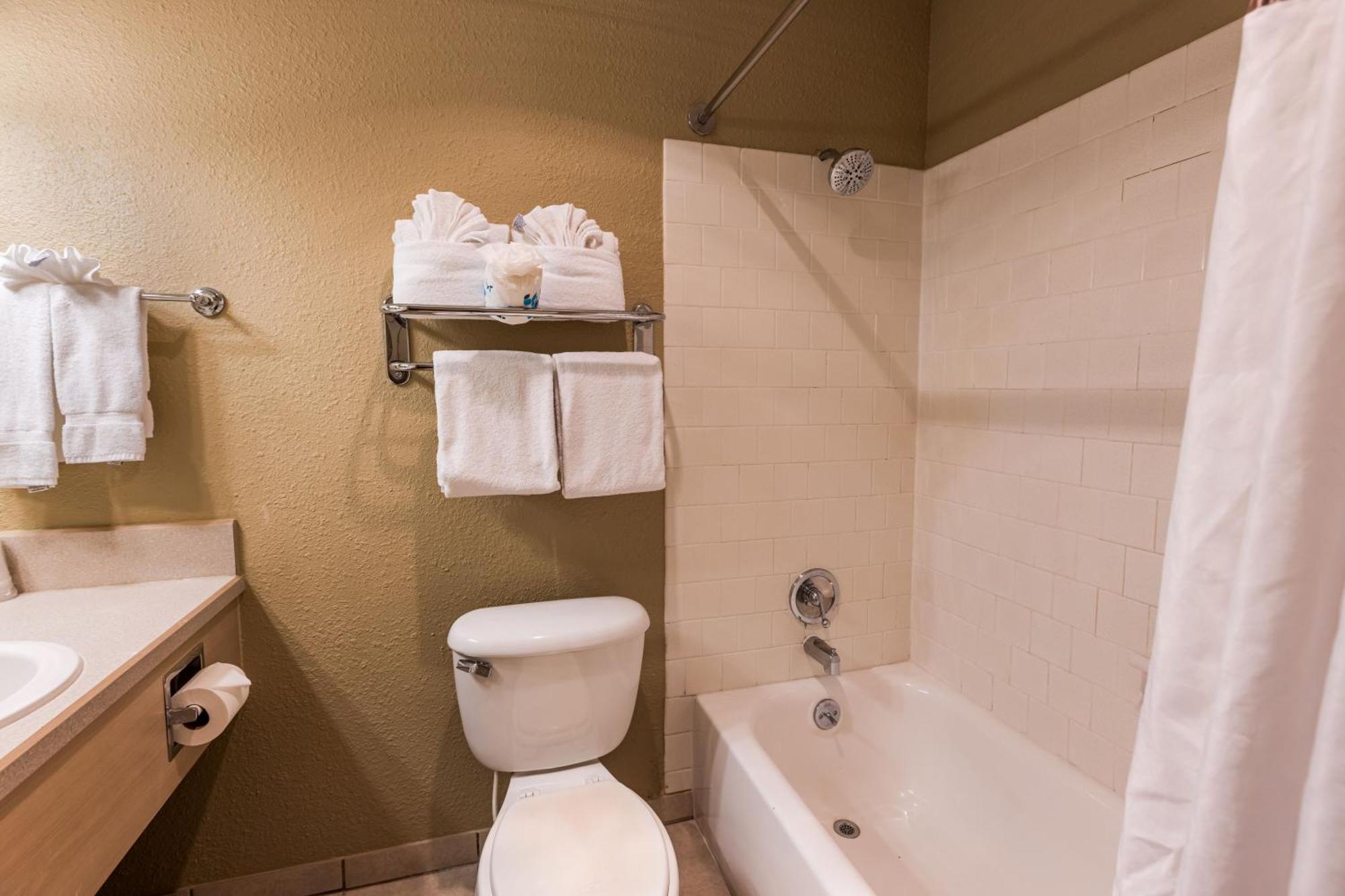 Single Queen Ocean View Suite