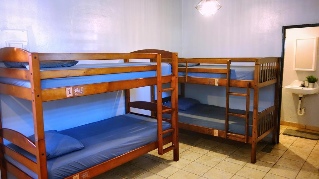 Bed 6-Bed Female Dormitory Room