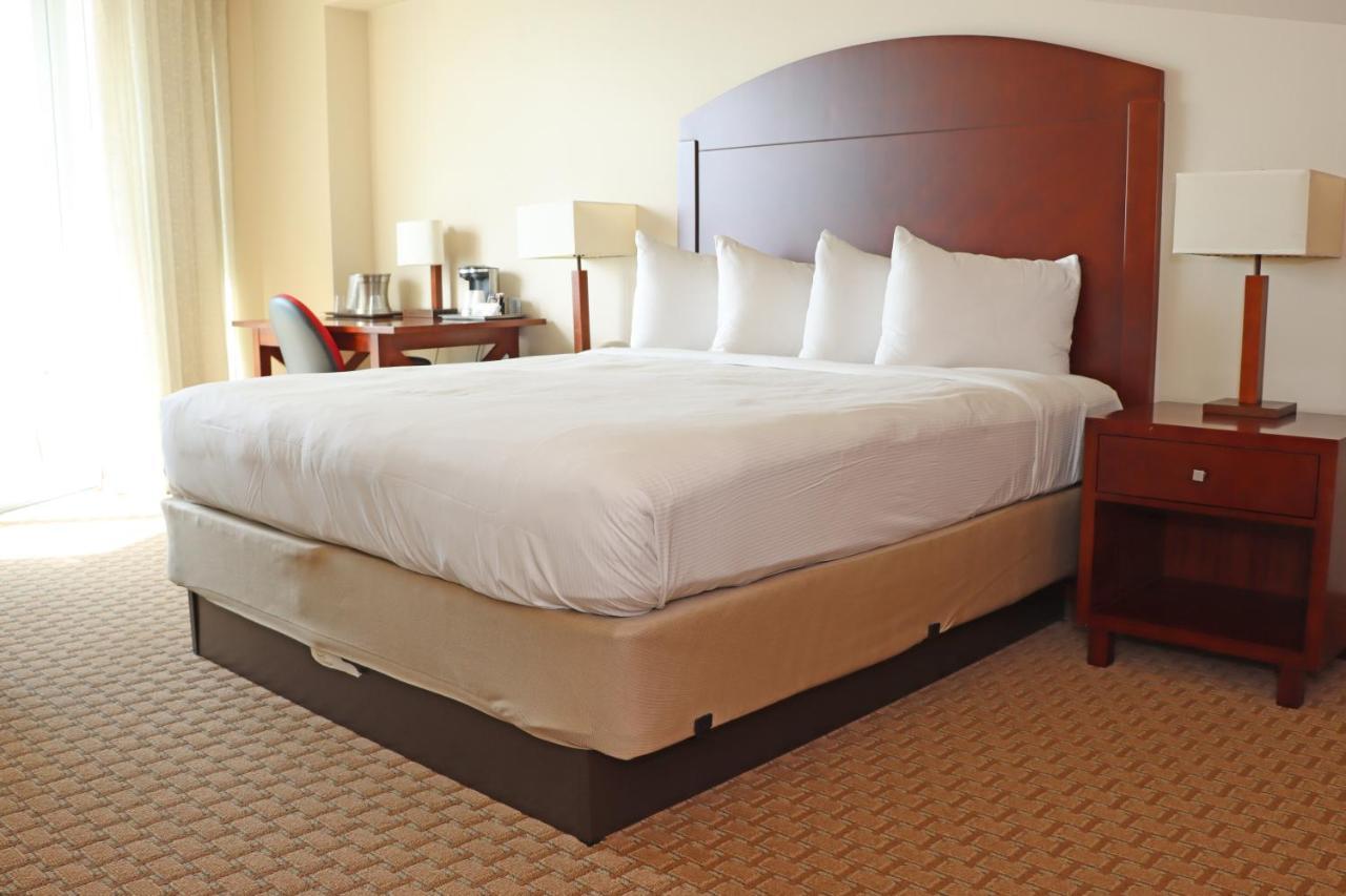 Elite Studio Suite