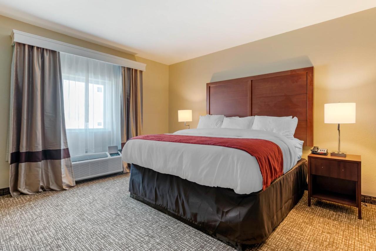 King Suite with Sofa Bed - Non-Smoking
