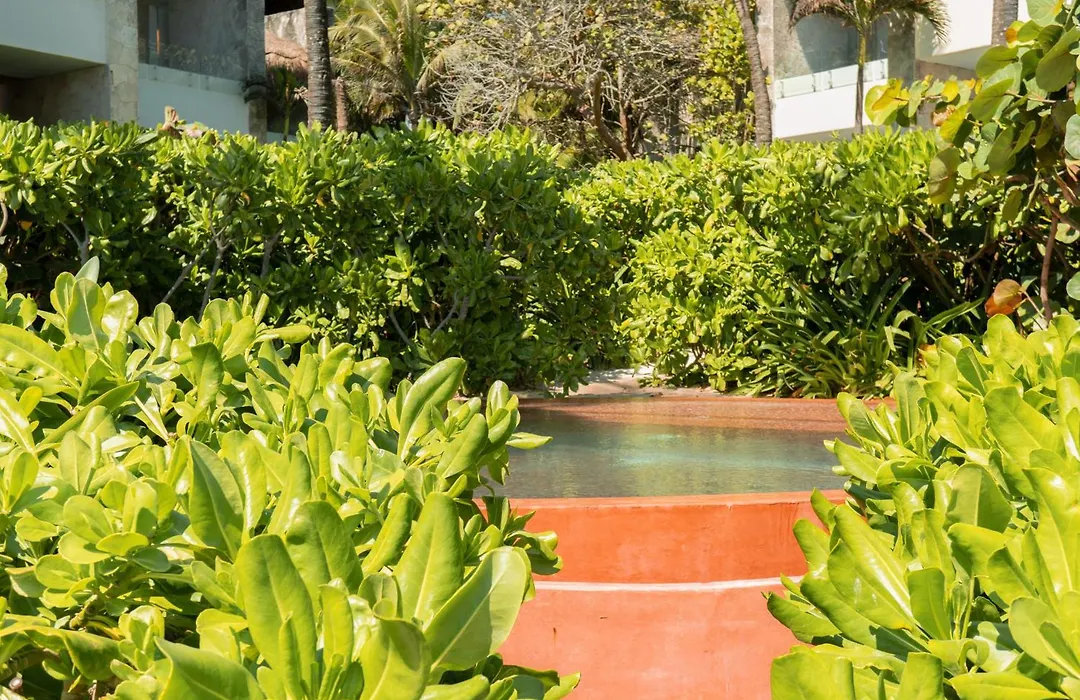 Tago Tulum By G Hotels-1