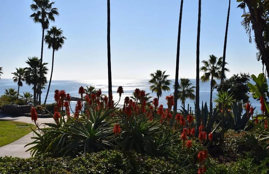 Laguna Shores Studio Suites-1