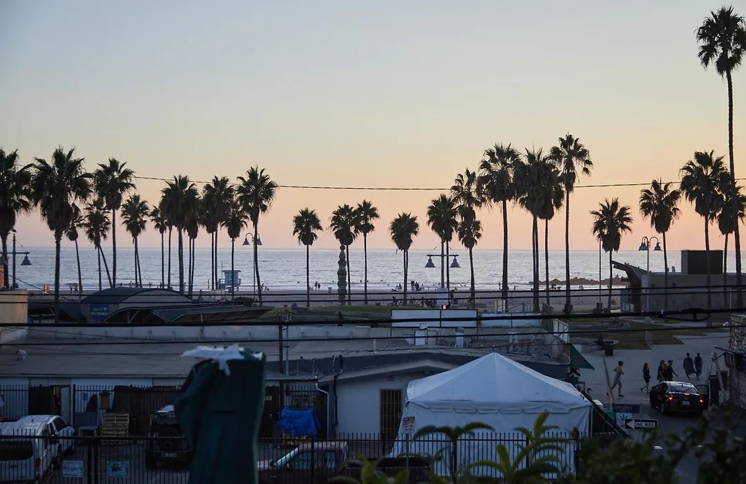 The Redline Venice-1
