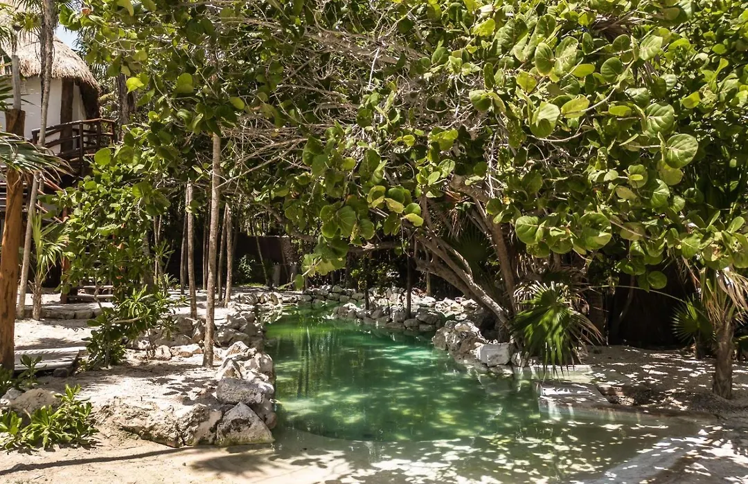Niken Beachfront Tulum Hotel-1