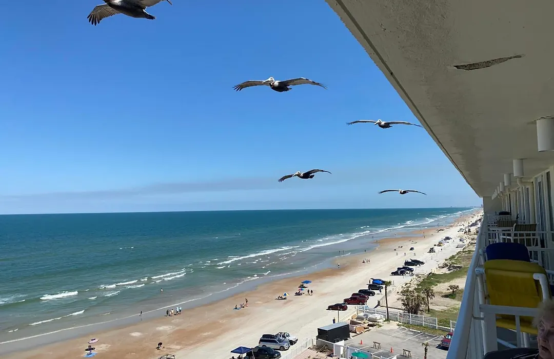 Harbour Beach Resort - Direct Oceanfront, Private Balcony !-1