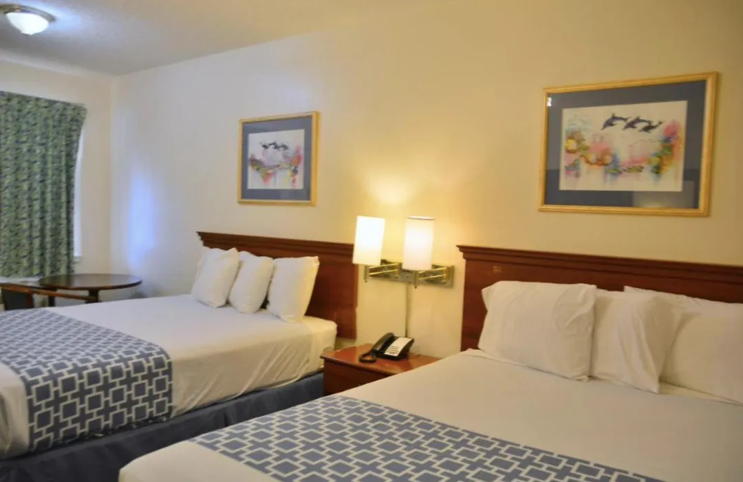 The Flamingo - South Padre Island-1