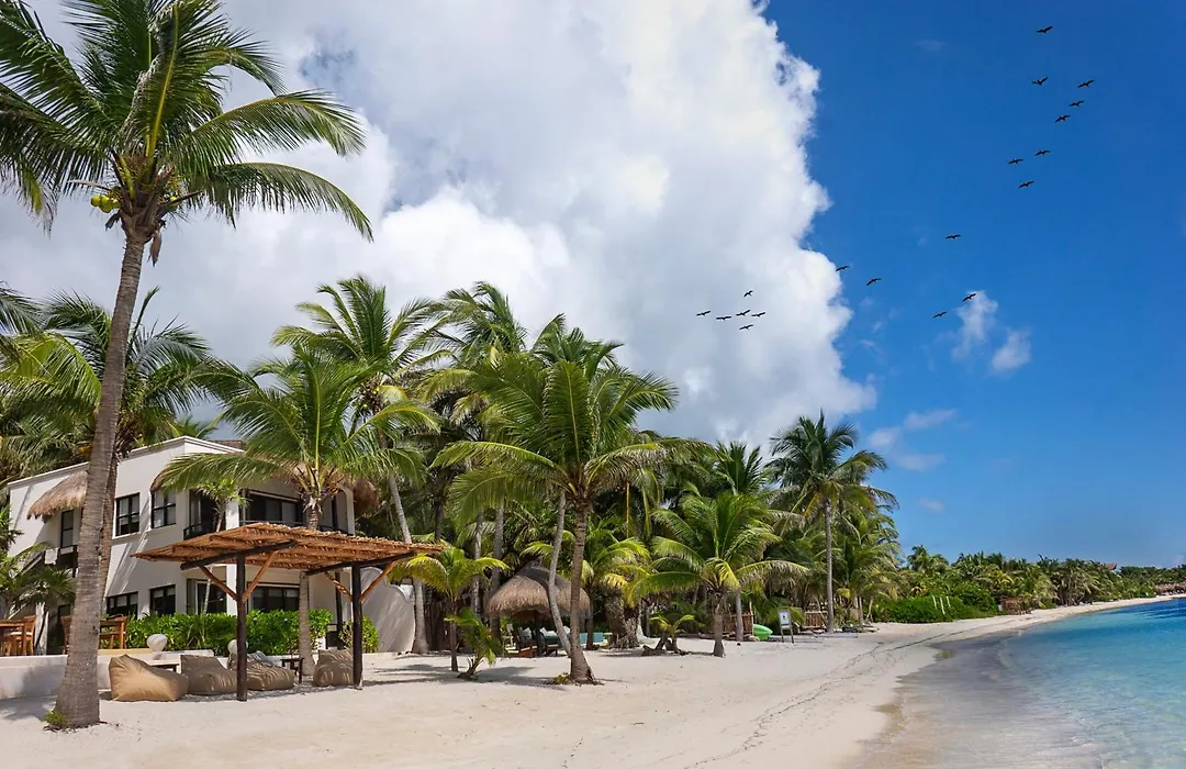 Mantaray Tulum-1