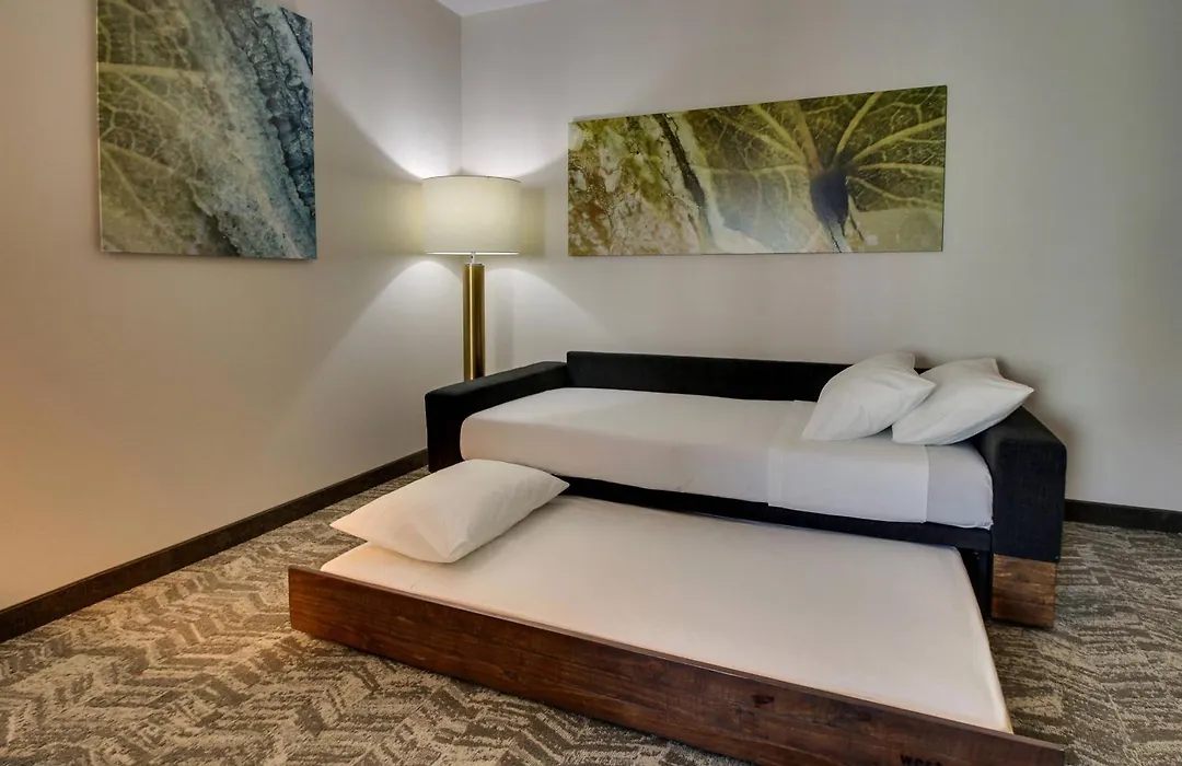 Springhill Suites By Marriott Gulfport I-10-1