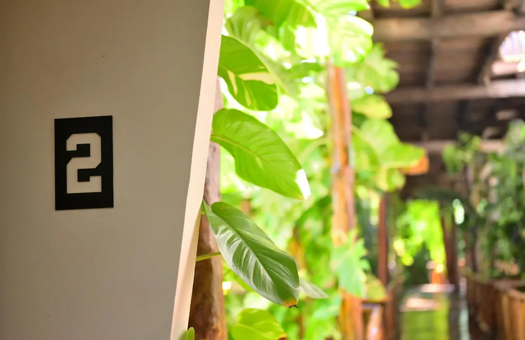 Casa Teka - Boutique Hotel & Cenote-1