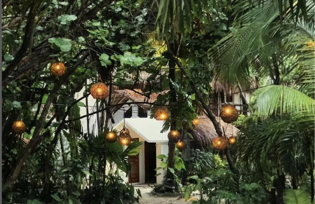 Casa Violeta-1