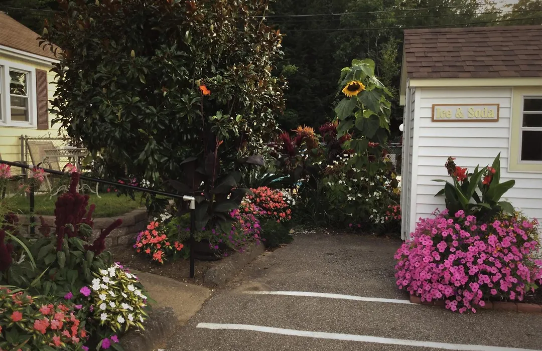 Bay Top Motel-1