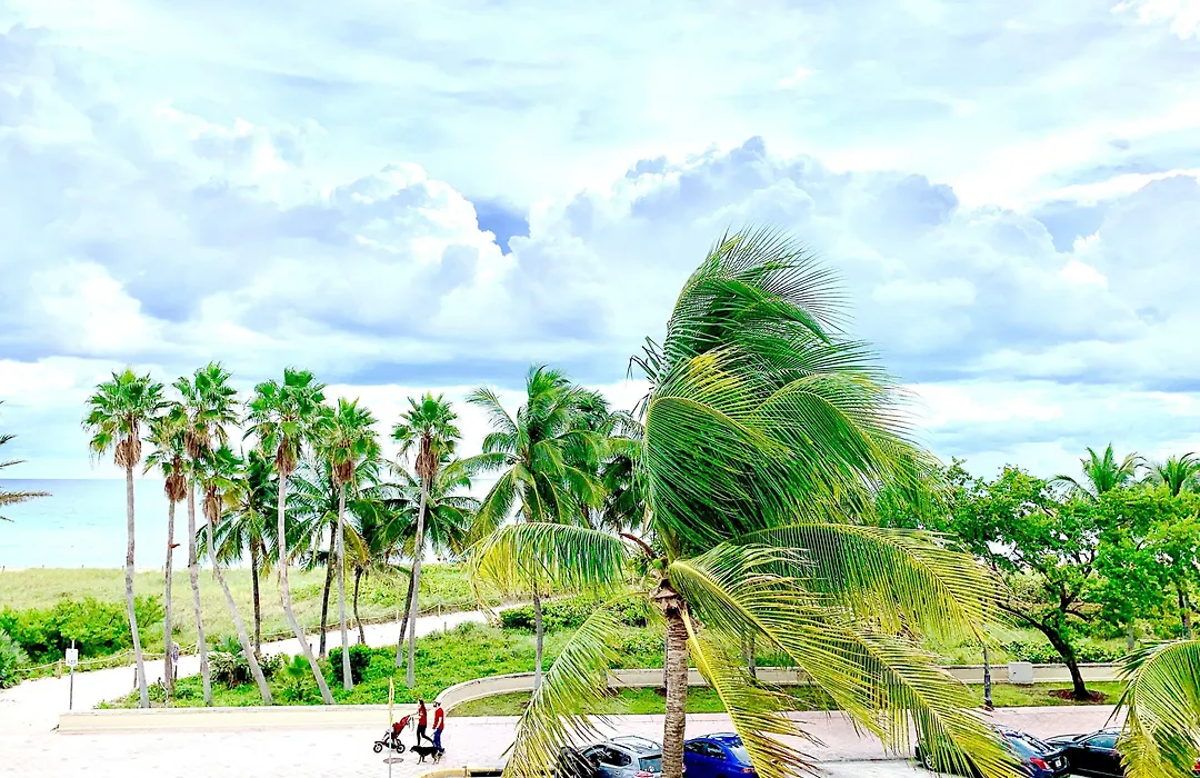Broadmore Miami Beach-1