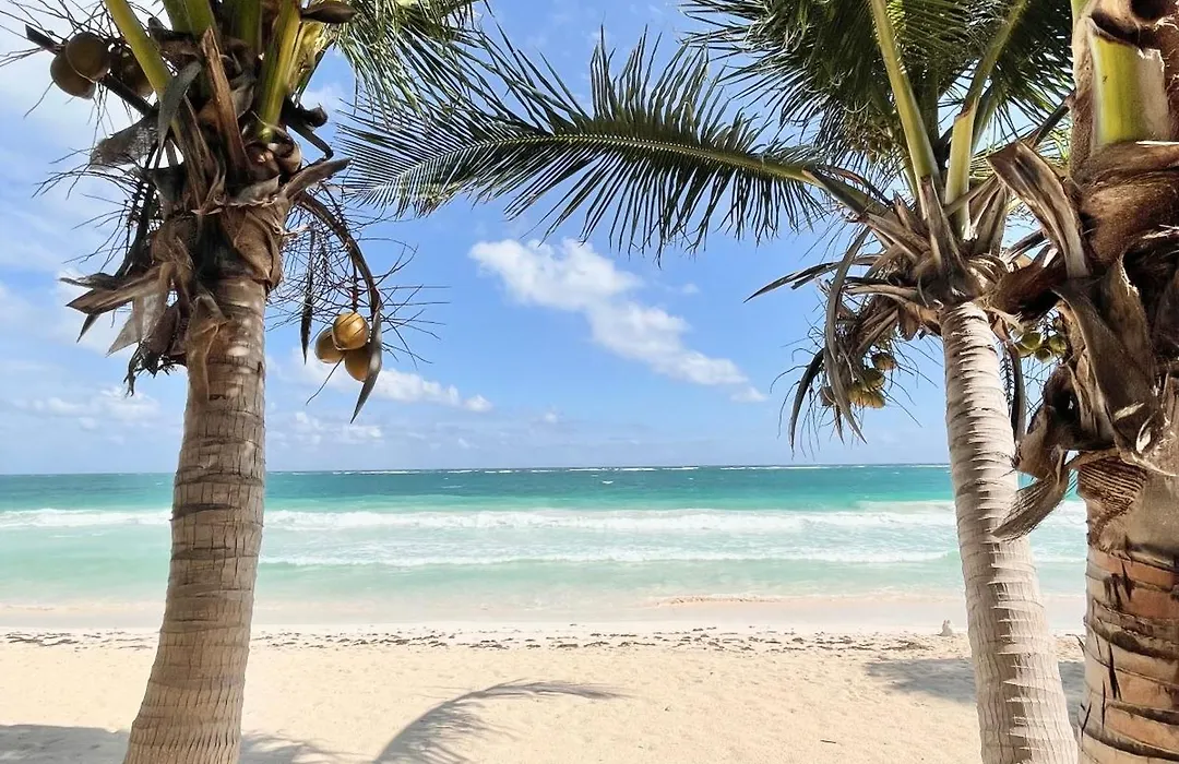 Olas Tulum-1