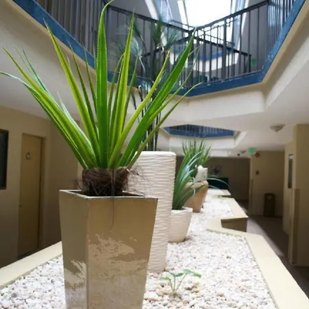 Brighton Suites Hotel-2
