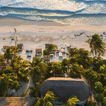 Nest Tulum-2