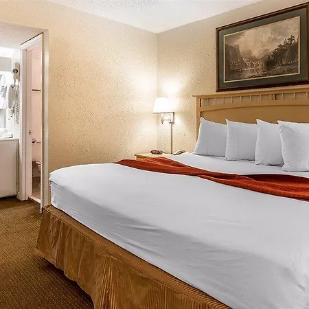 South Bay Inn (Adults Only)-2