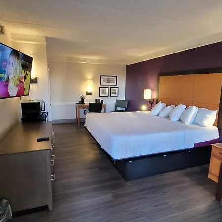Hotel Palm Bliss Corpus Christi South-3