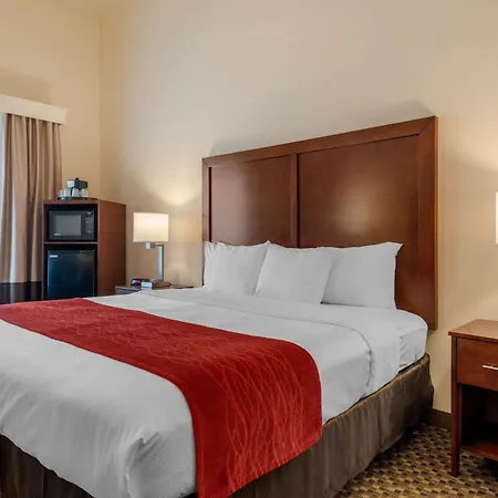 Comfort Inn & Suites Fort Myers Airport-3