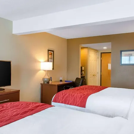 Comfort Inn & Suites Biloxi-D'Iberville-3