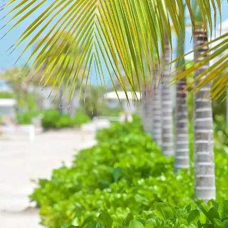 Mahogany Bay Resort And Beach Club, Curio Collection-2
