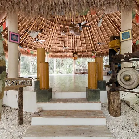 Cachito De Cielo Luxury Jungle Lodge-3