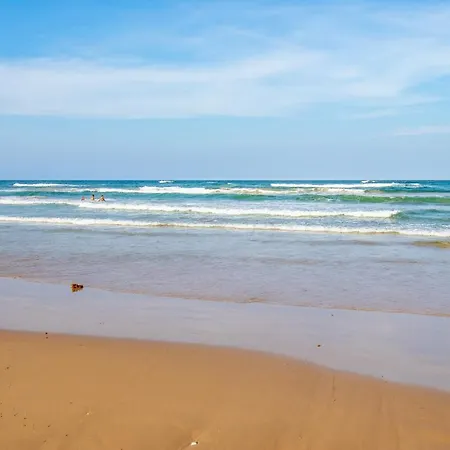 Seagull'S Landing By The Ocean-2