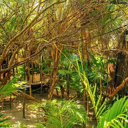 Ikal Tulum Hotel-3