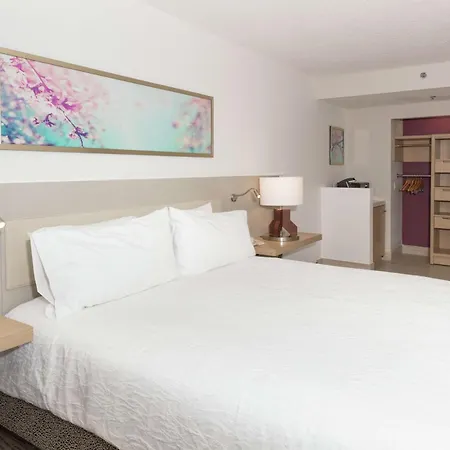 Hilton Garden Inn Saint Augustine Beach-3