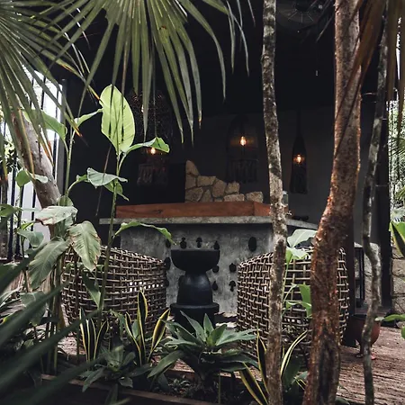Siwa Wellness Villa Collection-2