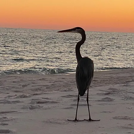 Pensacola Beach Gulf-Front 2Br Condo With Pool & Hot Tub-2