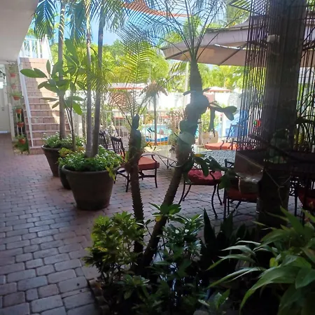 The Big Coconut Guesthouse - Gay Men'S Resort-3