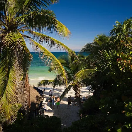 Libelula Tulum Beachfront Hotel-2