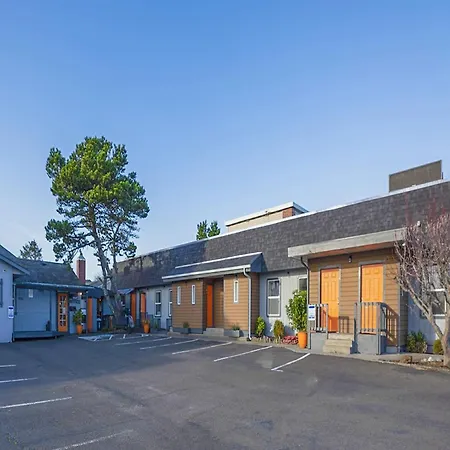 City Centre Motel By Oyo-3