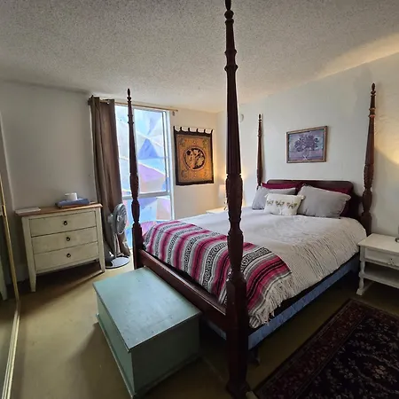 Ocean Front Vortex Female Hostel Private Rooms Free Bikes-2