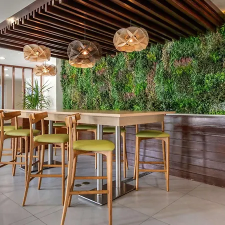 Condado Palm Inn San Juan, Tapestry Collection By Hilton-3