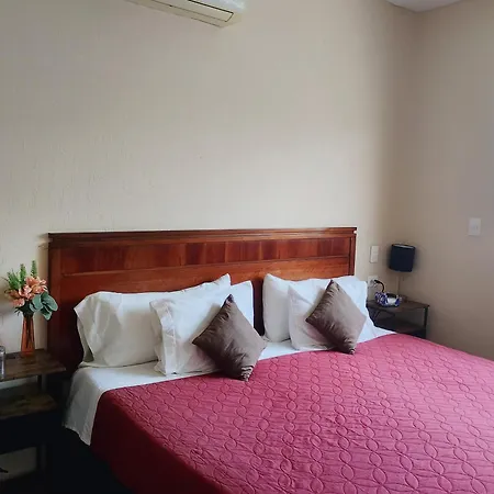 Bed And Breakfast Pecari-2