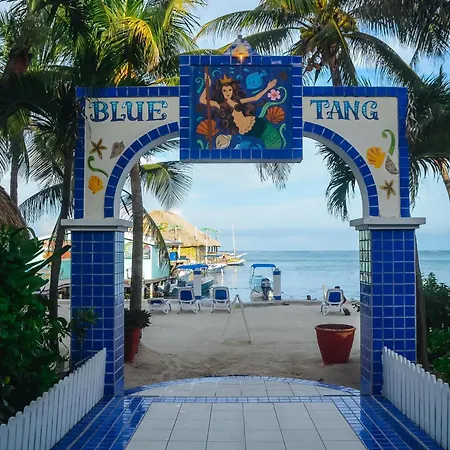 Blue Tang Inn - Beachfront Suites And Pool-3