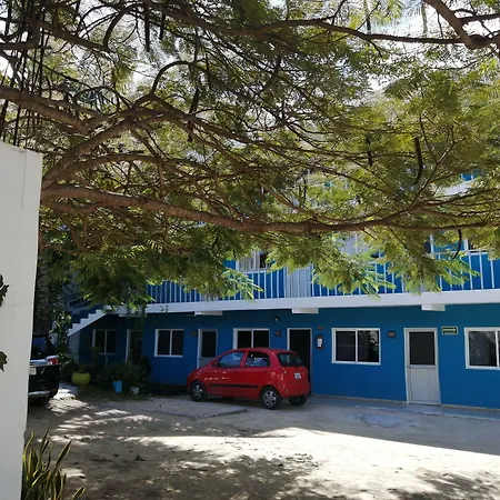 Blue Coconut Cancun Hotel-3