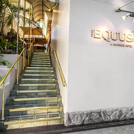 The Equus-3