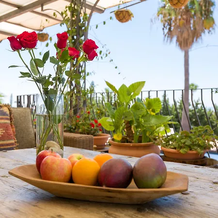 Cortijo Boutique Marbella-3