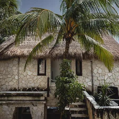 Nest Tulum-3