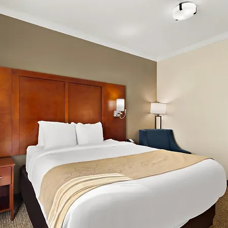 Comfort Suites Corpus Christi Central-3