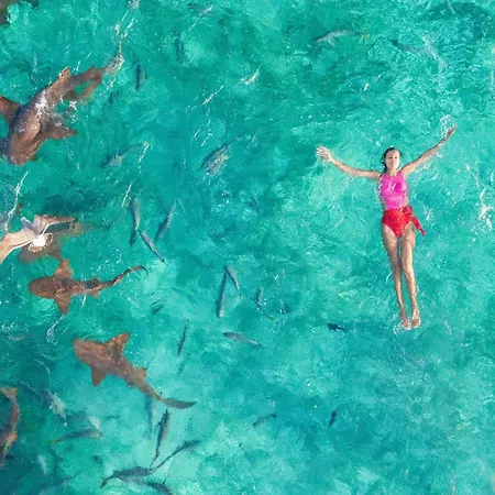 Reef Haven Belize-3
